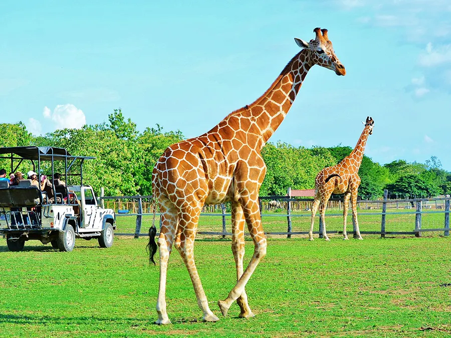 Playas secretas y safari de fauna en Costa Rica