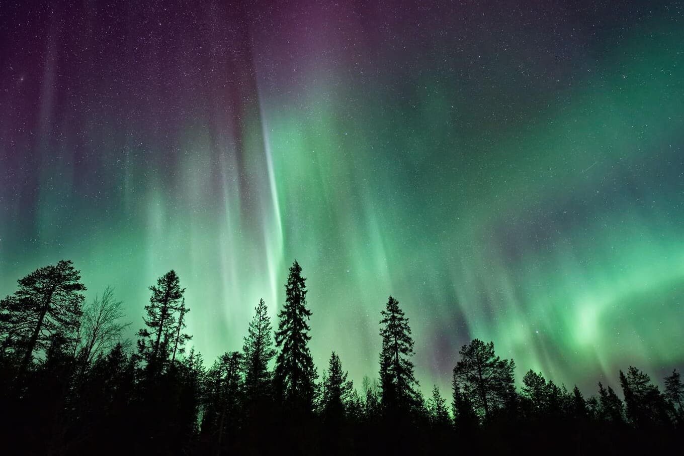 Auroras boreales y naturaleza en Canadá